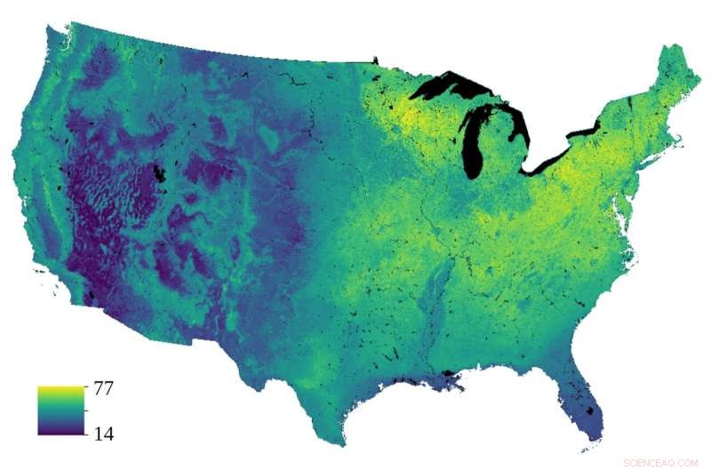 Mapping Bird Biodiversity: A Key to Conservation Efforts