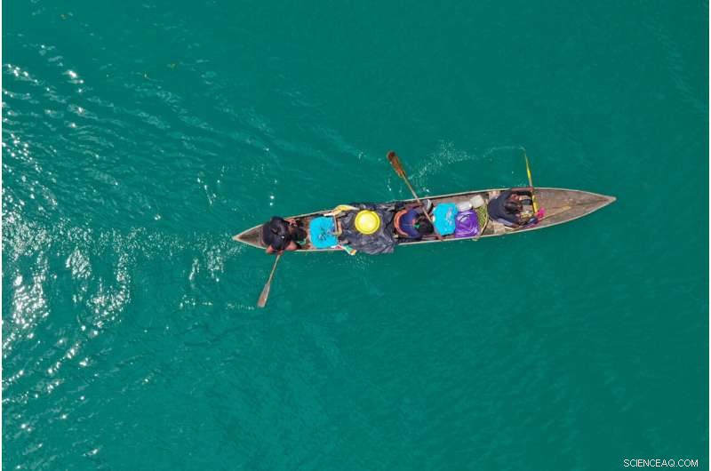 Protecting Coral Reefs: Urgent Recommendations for a Sustainable Future