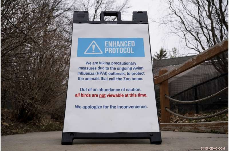 Avian Influenza Update: Bird Flu Cases Confirmed in US Zoos