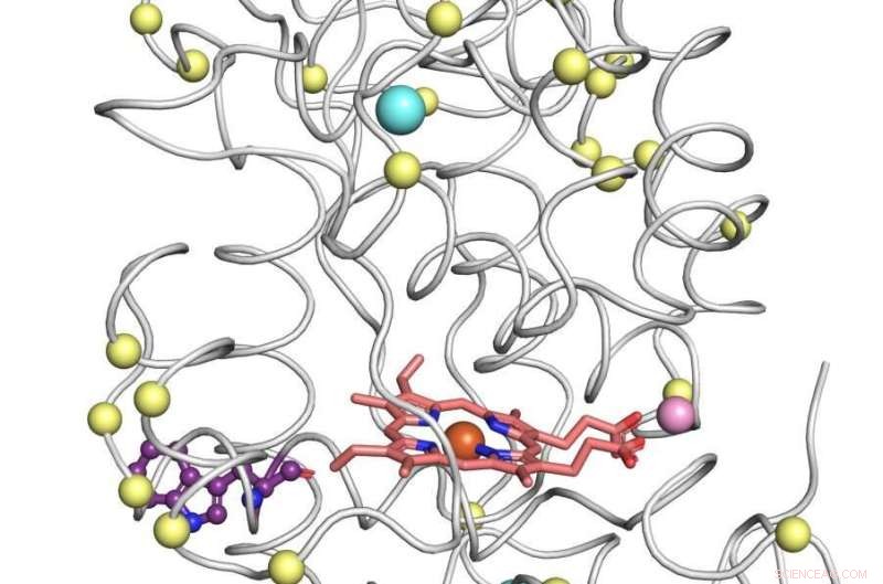 AI-Designed Biomolecules: Revolutionizing Function & Stability