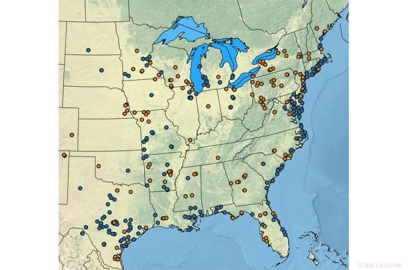 Cost Analysis of Switchgrass Gene Copies: A US Distribution Study