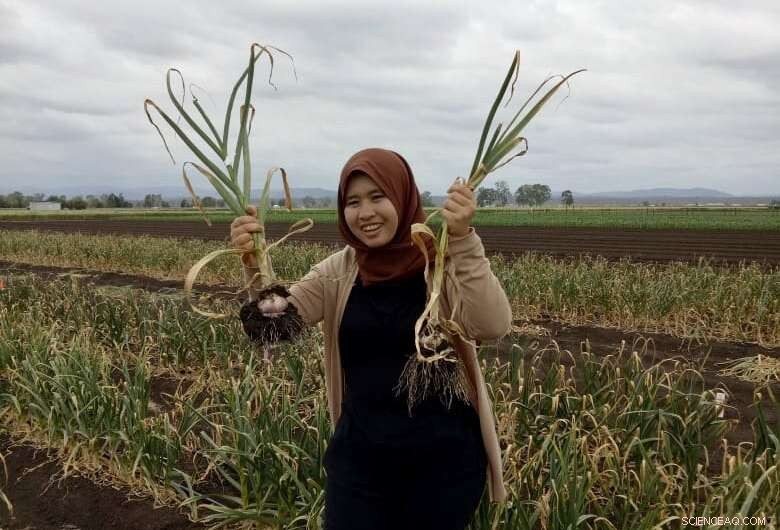 Garlic s Hidden Potential: Research on Viral Resistance