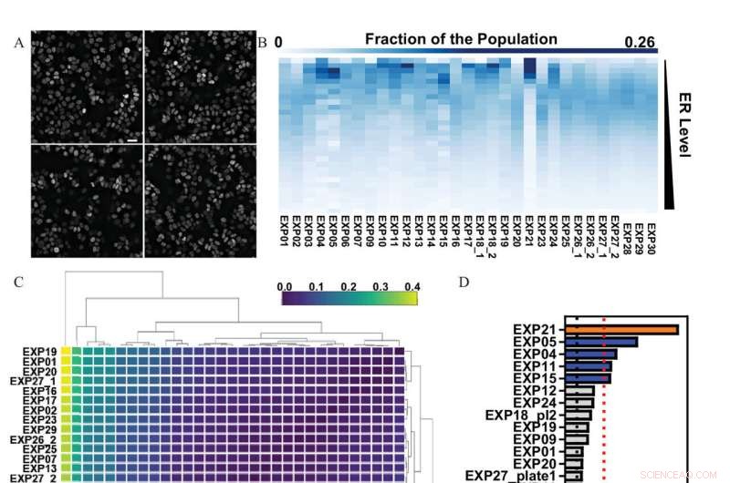 Single-Cell Imaging Quality Control Pipeline for Enhanced Research