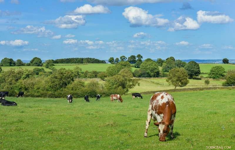 Enhancing Livestock Biosecurity: A Novel Network for Sustainable Farming