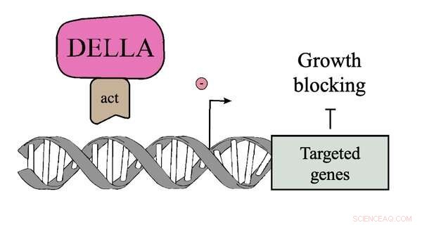 Climate Change Impacts on Plant Growth: Stress and Adaptation