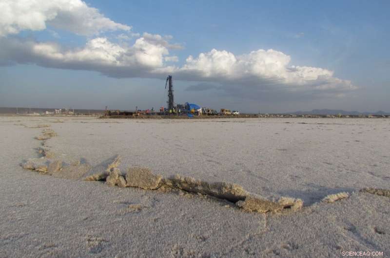 Climate s Role in Evolution: New Study Challenges Previous Understanding