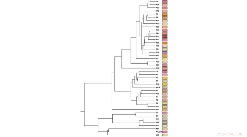 Engineered Microbes: Harnessing Light for Enhanced Chemical Production
