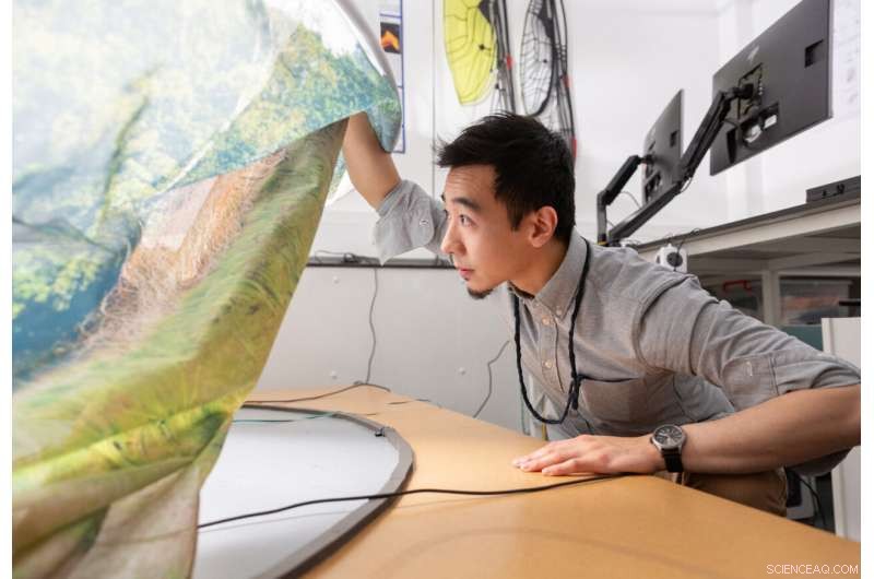 Insect Wing Sensory System Discovery Could Revolutionize Aerodynamics