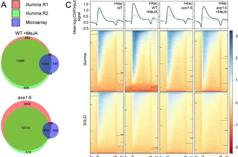 Plant Stress Response: Unlocking Climate-Resilient Crops for Global Food Security