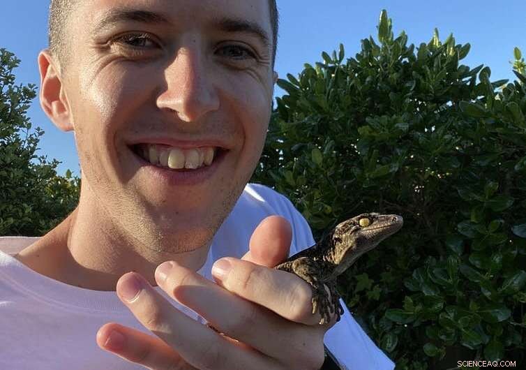 Ancient DNA Reveals Evolutionary History of New Zealand Geckos