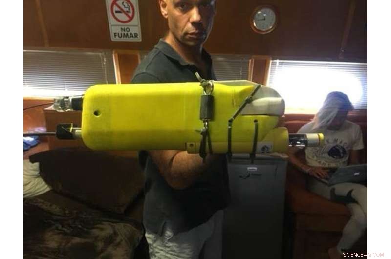 Social Behavior of Great White Sharks: A Deep Dive into Predator Dynamics