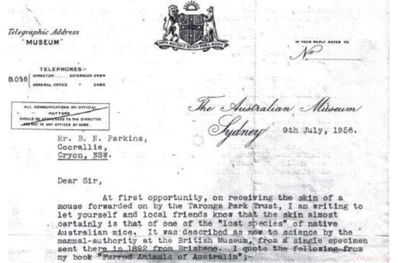 The Vanishing Blue-Grey Mouse: Extinct or Hidden in Australia?