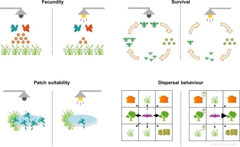 Dark Infrastructure: Protecting Biodiversity from Artificial Light