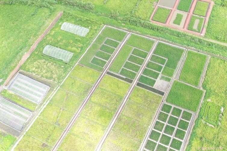 Agriculture & Malaria: Understanding the Complex Link in Africa