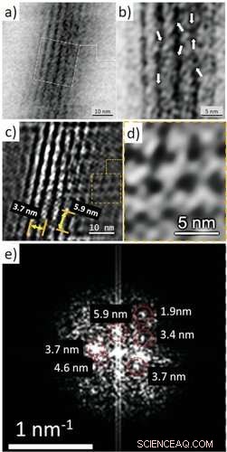 Actin s Role in Biosilica Architecture of Sponges: A Novel Study