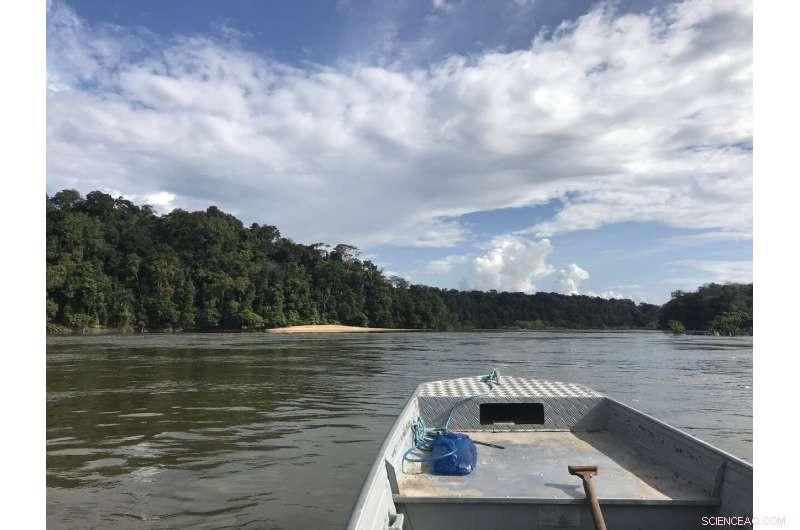 Amazon s Avian Diversity: How Dynamic Rivers Shaped Bird Evolution