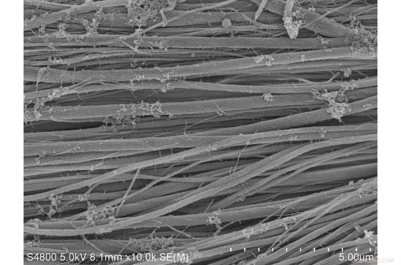 Collagen s Remarkable Strength: New Insights into Tendon Structure