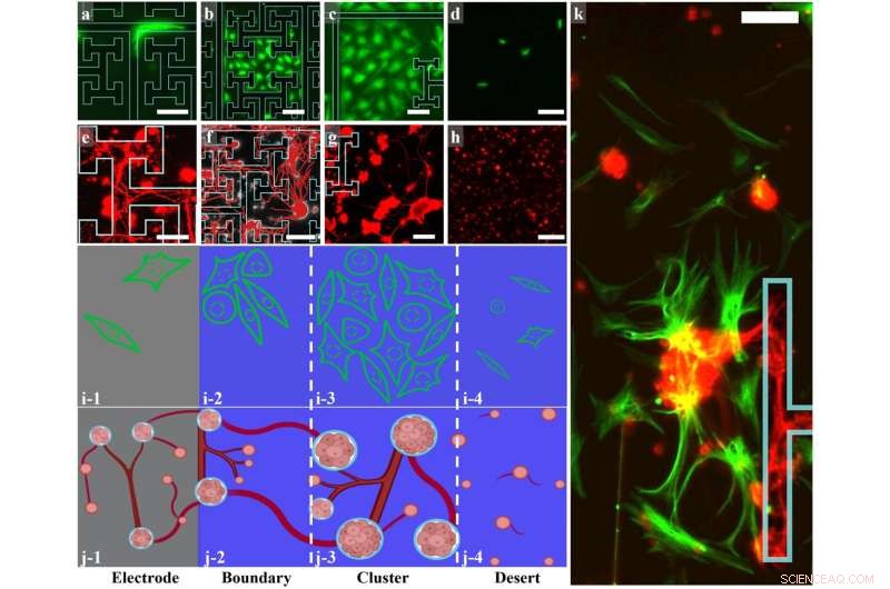 Bio-Inspired Bionic Eyes: Advancements in Retinal Cell Interaction