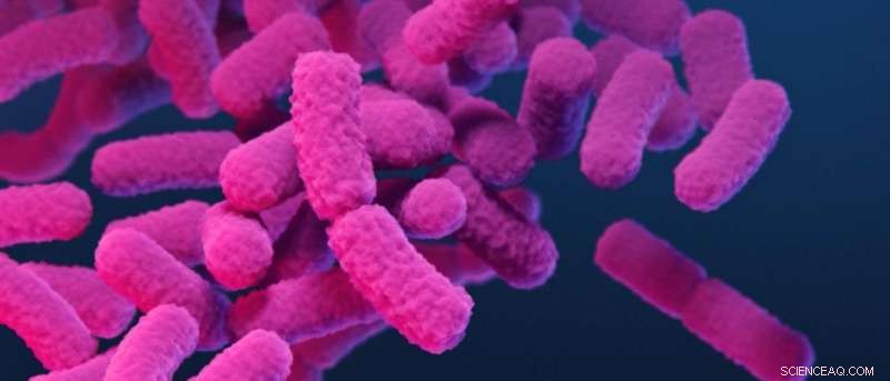 Understanding Drug-Resistant Bacteria: New Insights into Outer Membrane Assembly