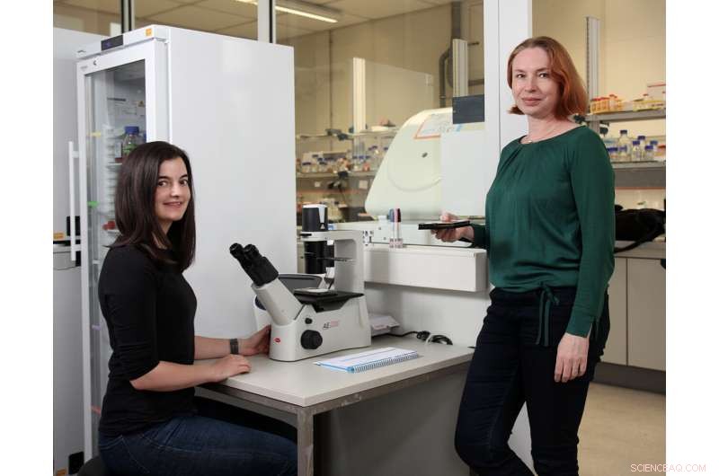 Quadruple Chromosome Cells: Tumor Genesis and Cellular Fate - Research Insights