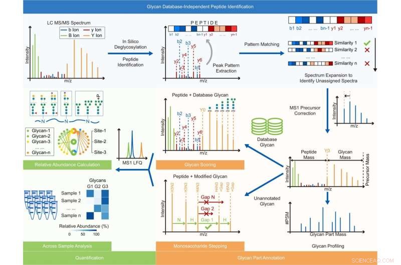 Glyco-Decipher: Advanced Software for Protein Glycosylation Analysis