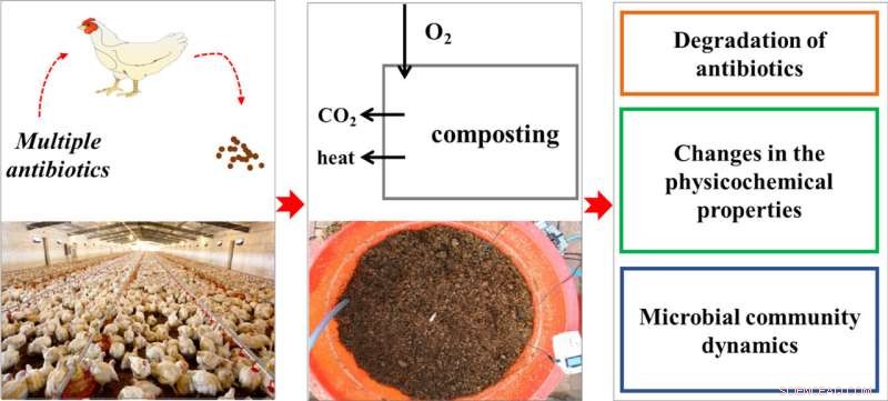 Heavy Metal & Antibiotic Dynamics in Broiler Production and Composting