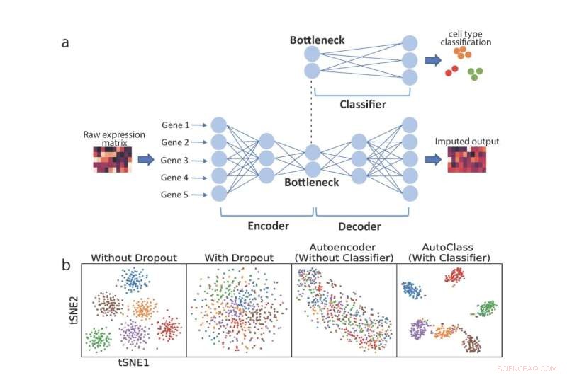 AutoClass: A Universal AI Algorithm for Enhanced Single-Cell Genomics Data Cleaning