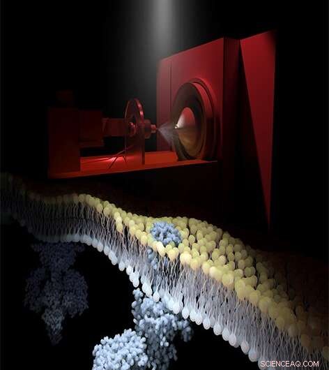 Rhodopsin Signaling & Regeneration: Lipid Impact and Drug Discovery