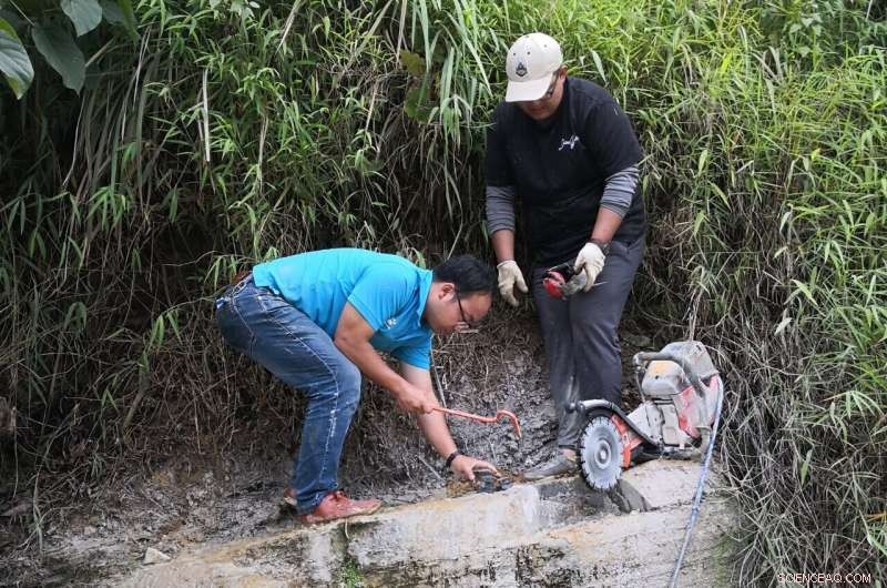 New Ichthyosauromorph Discovery Sheds Light on Early Marine Reptile Evolution