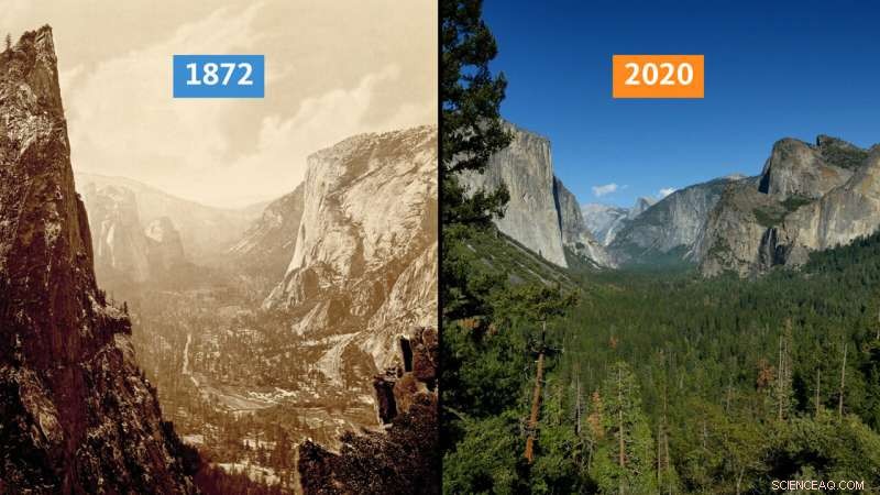 Indigenous Fire Management: Restoring California s Forests