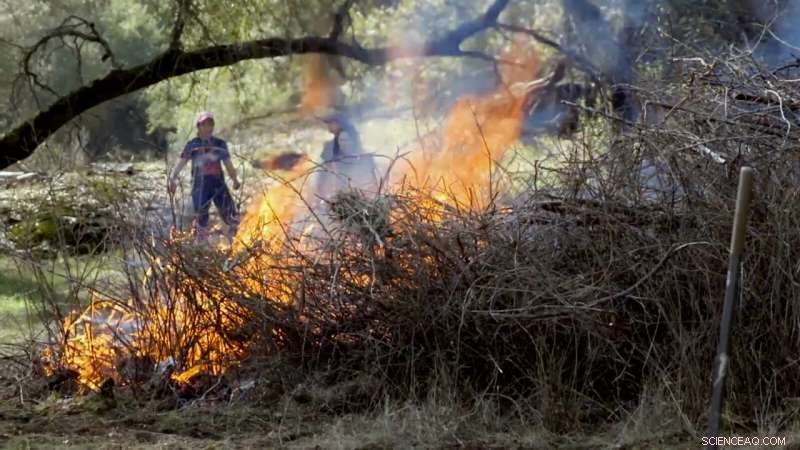 Indigenous Fire Management: Restoring California s Forests