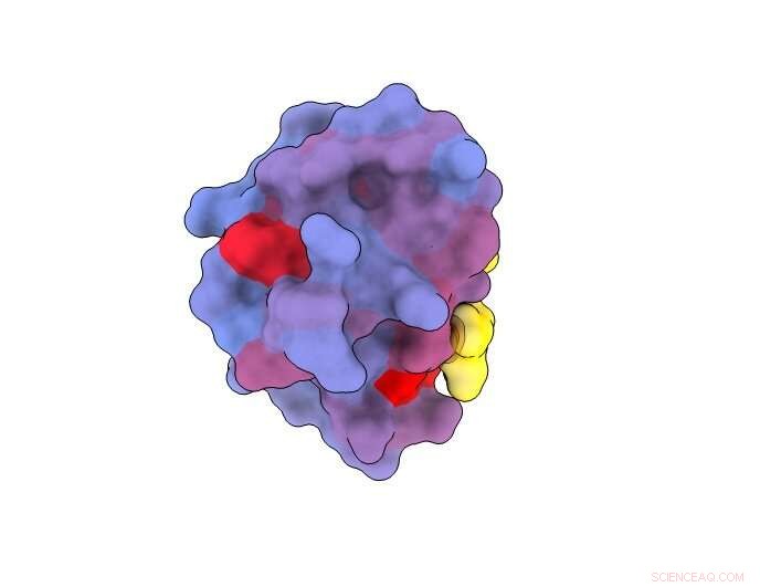 Protein s Hidden Doors: New Targets for Drug Discovery