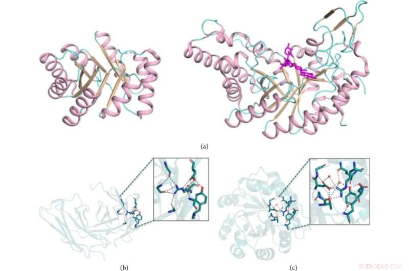 Evolution-Guided Design of Large Functional Proteins: A Review