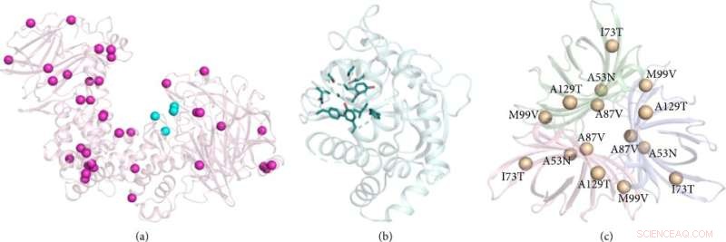 Evolution-Guided Design of Large Functional Proteins: A Review