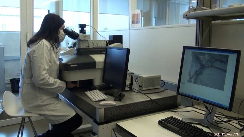 Isotope Analysis: Understanding Laboratory Preparation s Impact on Climate Studies