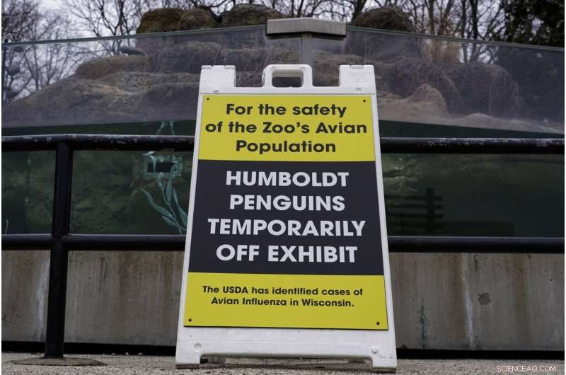Avian Flu Threat: Zoos Across North America Protect Bird Populations