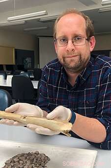 Non-Destructive DNA Analysis: Revolutionizing Ancient Genomics