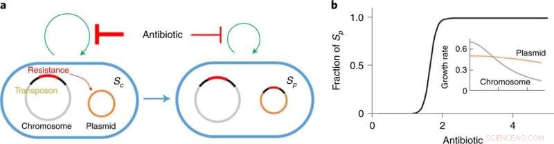 How Antibiotics Drive Antibiotic Resistance: A New Mechanism Discovered