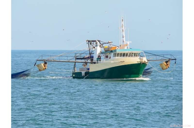 Reduce Bycatch: How Sustainable Fishing Practices Protect Marine Life