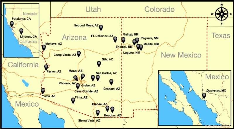 Understanding the Spread of Rocky Mountain Spotted Fever: A New Study