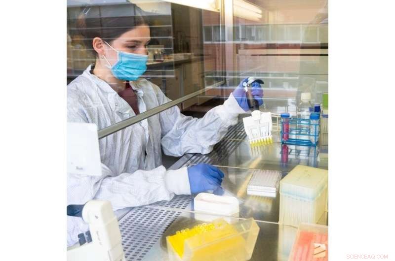 Advanced Gene Activity Measurement: A New Molecular Biology Technique