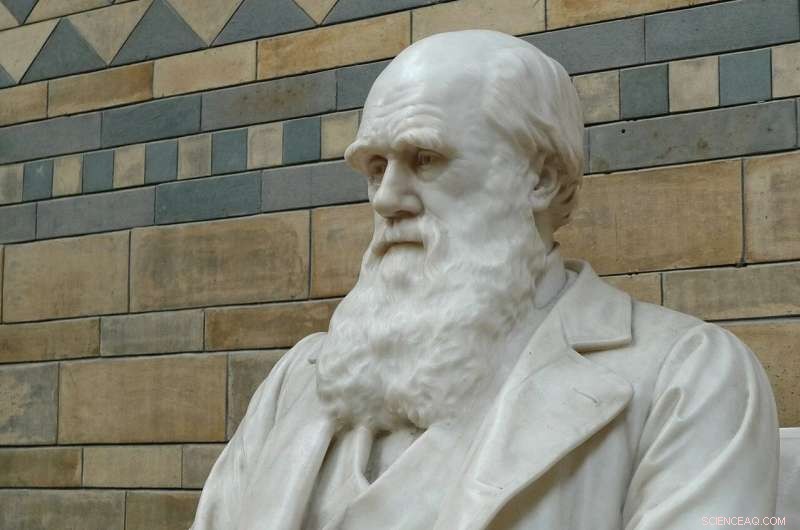 Charles Darwin Notebooks Returned to Cambridge University After 21 Years