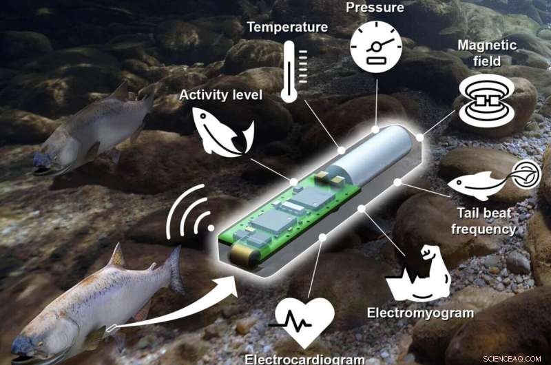 Lab-on-a-Fish: Advanced Sensor Technology for Fish Health & Behavior