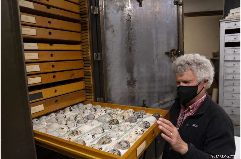 Early Birding: Chicago Birds Nesting & Laying Eggs Sooner Due to Climate Change