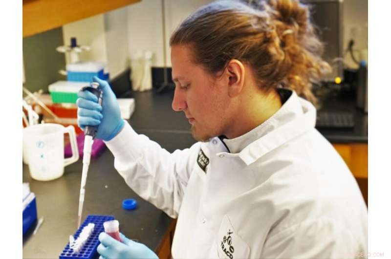 Targeted Therapeutics: Harnessing the Body s Natural Delivery System