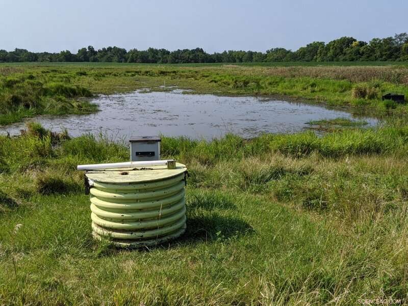 The Unexpected Power of Small Wetlands for Water Quality
