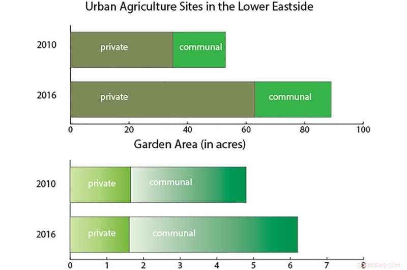 Detroit Urban Agriculture: Scaling Potential & Spatial Distribution