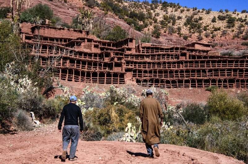 Morocco s Ancient Beehives Threatened by Drought – A Cultural and Economic Crisis