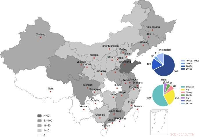 Antibiotic Resistance in Chinese Livestock Bacteria: A Growing Concern