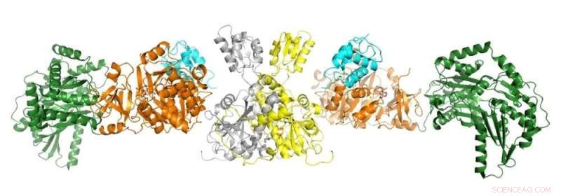 Unlocking New Medicines: The Potential of Bacterial Nanomachines